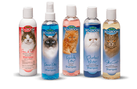 Шампуни для кошек